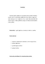 Kutatási anyagok 'Vegetarismus unter den Jugendlichen', 5.                