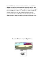 Kutatási anyagok 'Vegetarismus unter den Jugendlichen', 23.                