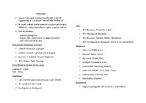 Összefoglalók, jegyzetek 'Emelt magyar szóbeli 2021', 2.                