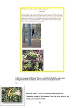 Kutatási anyagok 'Respect - Recycle - Reuse', 35.                