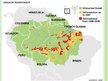 Prezentációk 'Amazon Rainforest Deforestation', 3.                