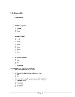 Kutatási anyagok 'Danish Market Research for Kalev Company', 31.                