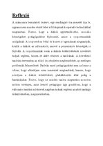 Összefoglalók, jegyzetek 'Óraterv', 9.                