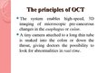 Prezentációk 'Optical Coherence Tomography', 4.                