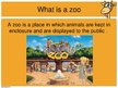 Prezentációk 'Keeping Wild Animals in Zoos', 2.                