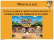 Prezentációk 'Keeping Wild Animals in Zoos', 2.                
