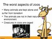 Prezentációk 'Keeping Wild Animals in Zoos', 5.                