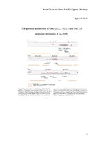 Kutatási anyagok 'Schizophrenia', 7.                