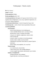 Összefoglalók, jegyzetek 'Mese Tervezet', 1.                