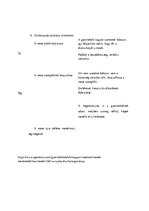 Összefoglalók, jegyzetek 'Mese Tervezet', 4.                