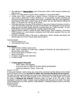 Összefoglalók, jegyzetek 'International Criminal Law', 12.                