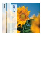 Kutatási anyagok 'Egypt', 1.