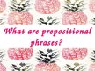 Prezentációk 'Prepositions', 16.                