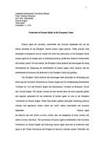 Kutatási anyagok 'Protection of Human Rights in the European Union / Cilvēktiesību aizsardzība Eir', 1.                