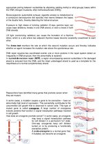 Összefoglalók, jegyzetek 'Mutations, DNA Repair, and Cancer', 2.                