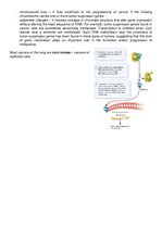 Összefoglalók, jegyzetek 'Mutations, DNA Repair, and Cancer', 4.                