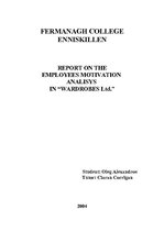 Kutatási anyagok 'Employees Motivation Analysis', 1.                