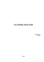 Összefoglalók, jegyzetek 'Cluster Analysis', 1.                