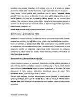 Záródolgozatok 'Terminologiearbeit auf Grund des Beispieltextes aus dem Baulexikon von Dietmar G', 34.                