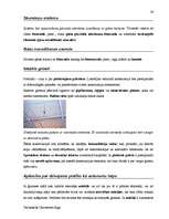 Záródolgozatok 'Terminologiearbeit auf Grund des Beispieltextes aus dem Baulexikon von Dietmar G', 36.                