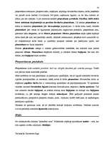 Záródolgozatok 'Terminologiearbeit auf Grund des Beispieltextes aus dem Baulexikon von Dietmar G', 38.                