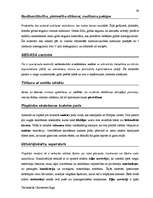 Záródolgozatok 'Terminologiearbeit auf Grund des Beispieltextes aus dem Baulexikon von Dietmar G', 39.                