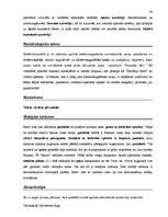 Záródolgozatok 'Terminologiearbeit auf Grund des Beispieltextes aus dem Baulexikon von Dietmar G', 40.                