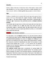 Záródolgozatok 'Terminologiearbeit auf Grund des Beispieltextes aus dem Baulexikon von Dietmar G', 44.                