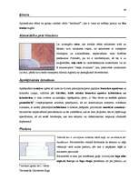 Záródolgozatok 'Terminologiearbeit auf Grund des Beispieltextes aus dem Baulexikon von Dietmar G', 48.                