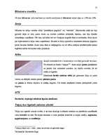 Záródolgozatok 'Terminologiearbeit auf Grund des Beispieltextes aus dem Baulexikon von Dietmar G', 53.                