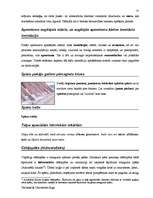 Záródolgozatok 'Terminologiearbeit auf Grund des Beispieltextes aus dem Baulexikon von Dietmar G', 55.                