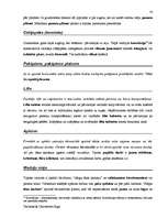 Záródolgozatok 'Terminologiearbeit auf Grund des Beispieltextes aus dem Baulexikon von Dietmar G', 56.                