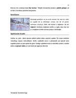 Záródolgozatok 'Terminologiearbeit auf Grund des Beispieltextes aus dem Baulexikon von Dietmar G', 57.                