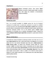 Záródolgozatok 'Terminologiearbeit auf Grund des Beispieltextes aus dem Baulexikon von Dietmar G', 58.                