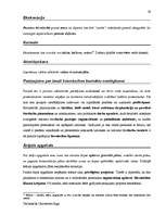 Záródolgozatok 'Terminologiearbeit auf Grund des Beispieltextes aus dem Baulexikon von Dietmar G', 59.                