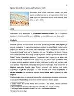 Záródolgozatok 'Terminologiearbeit auf Grund des Beispieltextes aus dem Baulexikon von Dietmar G', 61.                