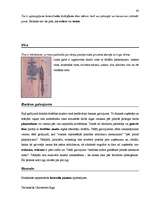 Záródolgozatok 'Terminologiearbeit auf Grund des Beispieltextes aus dem Baulexikon von Dietmar G', 63.                