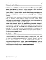 Záródolgozatok 'Terminologiearbeit auf Grund des Beispieltextes aus dem Baulexikon von Dietmar G', 70.                