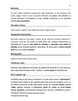 Záródolgozatok 'Terminologiearbeit auf Grund des Beispieltextes aus dem Baulexikon von Dietmar G', 72.                