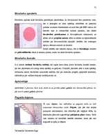 Záródolgozatok 'Terminologiearbeit auf Grund des Beispieltextes aus dem Baulexikon von Dietmar G', 75.                