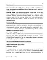 Záródolgozatok 'Terminologiearbeit auf Grund des Beispieltextes aus dem Baulexikon von Dietmar G', 76.                