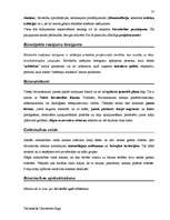 Záródolgozatok 'Terminologiearbeit auf Grund des Beispieltextes aus dem Baulexikon von Dietmar G', 77.                