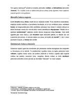 Záródolgozatok 'Terminologiearbeit auf Grund des Beispieltextes aus dem Baulexikon von Dietmar G', 84.                