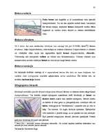 Záródolgozatok 'Terminologiearbeit auf Grund des Beispieltextes aus dem Baulexikon von Dietmar G', 85.                