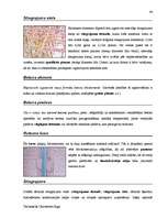 Záródolgozatok 'Terminologiearbeit auf Grund des Beispieltextes aus dem Baulexikon von Dietmar G', 86.                