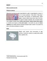 Záródolgozatok 'Terminologiearbeit auf Grund des Beispieltextes aus dem Baulexikon von Dietmar G', 88.                