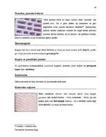 Záródolgozatok 'Terminologiearbeit auf Grund des Beispieltextes aus dem Baulexikon von Dietmar G', 89.                