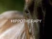 Prezentációk 'Hippotherapy', 1.                