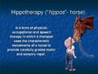 Prezentációk 'Hippotherapy', 2.                