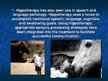 Prezentációk 'Hippotherapy', 10.                